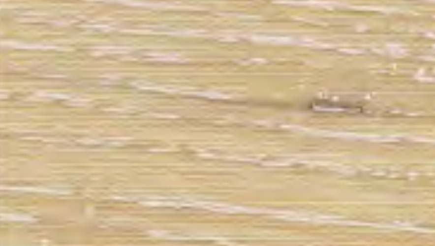 legno-frassino-sbiancato